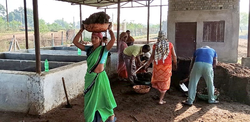 वर्मी कम्पोस्ट और सुपर कम्पोस्ट से 4 लाख से अधिक की हुई आमदनी