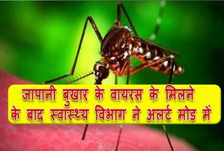 बीजापुर: जापानी बुखार के वायरस के मिलने के बाद स्वास्थ्य विभाग ने अलर्ट मोड में