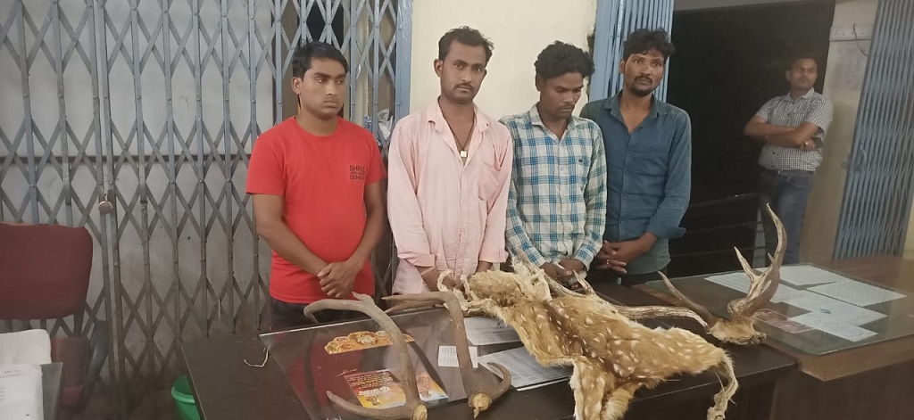 वन्यजीव हिरण के सिंग एवं खाल की तस्करी करते 04 तस्कर गिरफ्तार