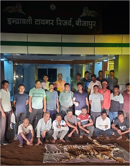 बीजापुर के मद्देड़ बफर रेंज में बाघ के खाल के साथ 10 गिरफ्तार
