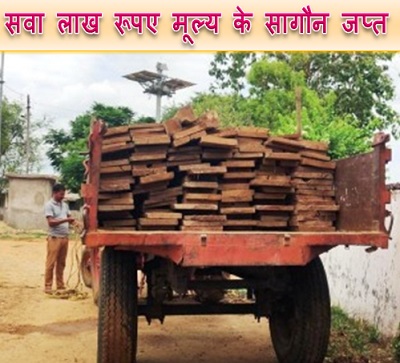 114 नग सागौन चिरान, लगभग सवा लाख रूपए मूल्य के जप्त