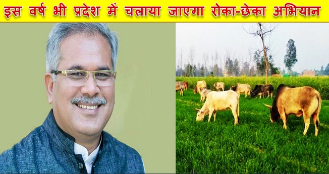 इस वर्ष भी प्रदेश में चलाया जाएगा रोका-छेका अभियान
