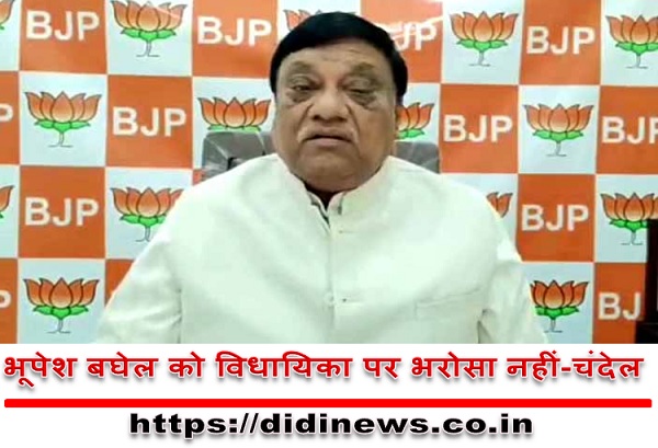भूपेश बघेल को विधायिका पर भरोसा नहीं-चंदेल