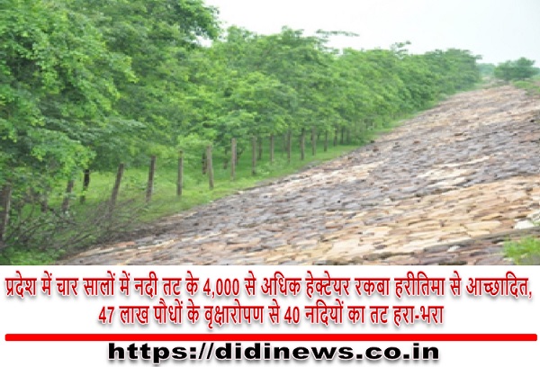 प्रदेश में चार सालों में नदी तट के 4,000 से अधिक हेक्टेयर रकबा हरीतिमा से आच्छादित, 47 लाख पौधों के वृक्षारोपण से 40 नदियों का तट हरा-भरा