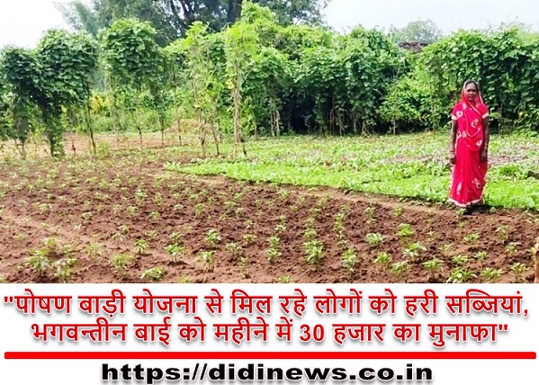 "पोषण बाड़ी योजना से मिल रहे लोगों को हरी सब्जियां, भगवन्तीन बाई को महीने में 30 हजार का मुनाफा"