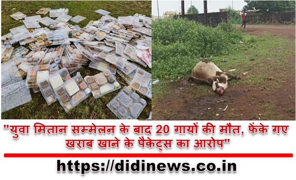"युवा मितान सम्मेलन के बाद 20 गायों की मौत, फेंके गए खराब खाने के पैकेट्स का आरोप"