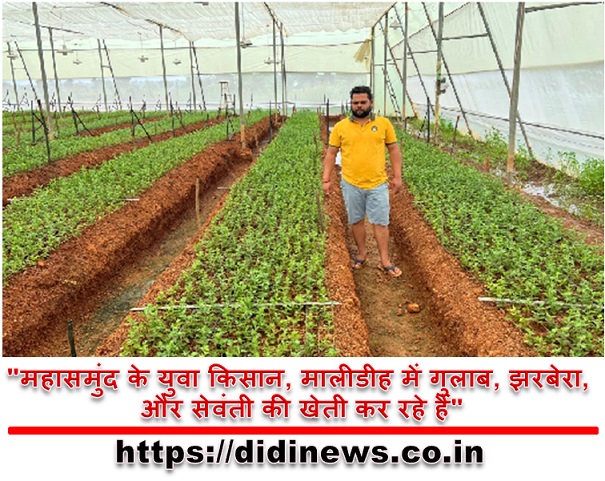 "महासमुंद के युवा किसान, मालीडीह में गुलाब, झरबेरा, और सेवंती की खेती कर रहे हैं"
