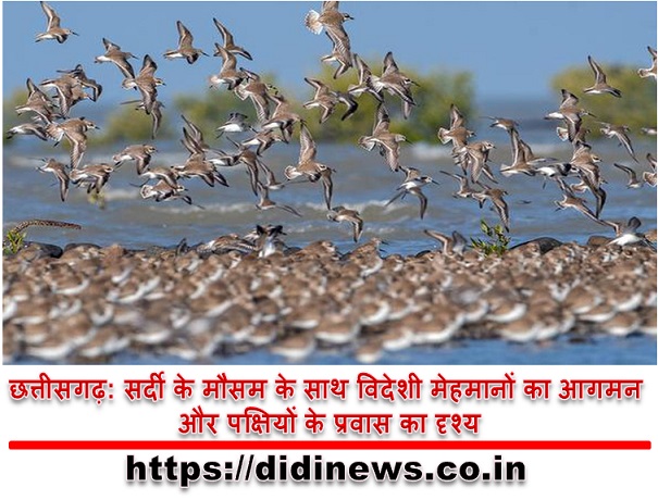 छत्तीसगढ़: सर्दी के मौसम के साथ विदेशी मेहमानों का आगमन और पक्षियों के प्रवास का दृश्य