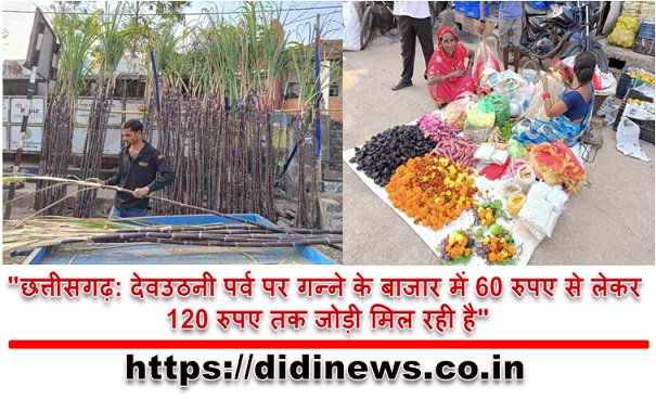 "छत्तीसगढ़: देवउठनी पर्व पर गन्ने के बाजार में 60 रुपए से लेकर 120 रुपए तक जोड़ी मिल रही है"