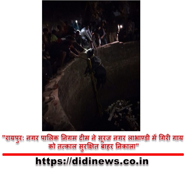 "रायपुर: नगर पालिक निगम टीम ने सूरज नगर लाभाण्डी में गिरी गाय को तत्काल सुरक्षित बाहर निकाला"