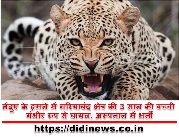 तेंदुए के हमले में गरियाबंद क्षेत्र की 3 साल की बच्ची गंभीर रूप से घायल, अस्पताल में भर्ती