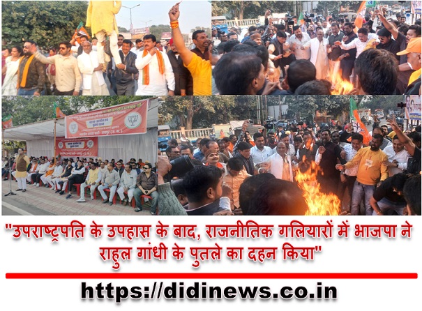 "उपराष्ट्रपति के उपहास के बाद, राजनीतिक गलियारों में भाजपा ने राहुल गांधी के पुतले का दहन किया"