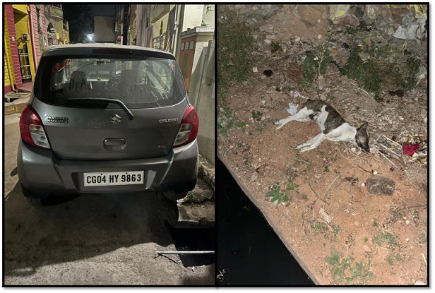 रायपुर: कार चालक ने 4 महीने के पप्पी को जानबूझकर कुचला, मौत&hellip; CCTV में कैद हुई पूरी करतूत, पर नहीं हुई FIR,देखिए पशु क्रूरता से जुड़े मामले और कानून