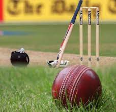 एलीट ग्रुप जिला टूर्नामेंट 2024 में बिलासपुर को मिली जीत