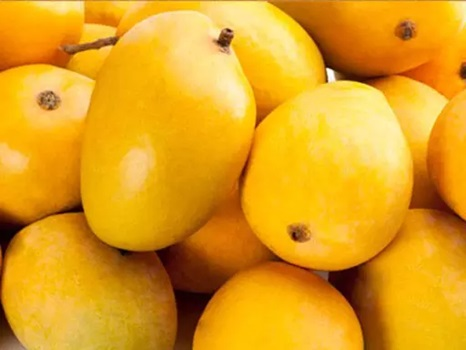 राजधानी में राष्ट्रीय आम महोत्सव 12 से 14 जून तक