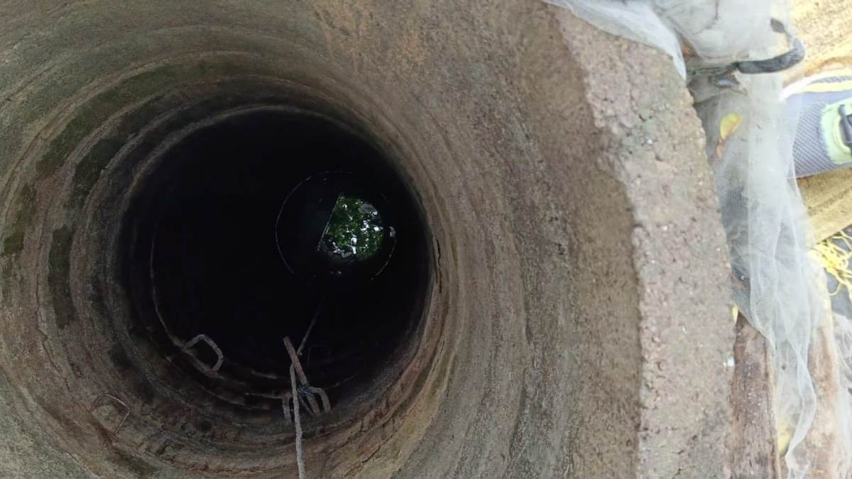 BREAKING : कुएं में गिरी लकड़ी को निकालने के फेर में एक-एक कर पांच मरे, सीएम साय ने जताया शोक&hellip;