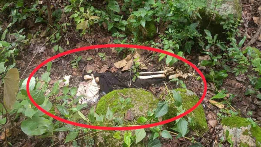  40 दिन से लापता थे युवक-युवती, जंगल में मिला कंकाल, जांच में जुटी पुलिस