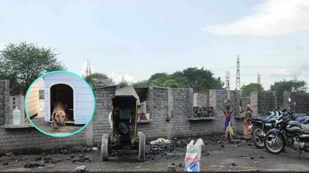 राजधानी में बन रहा डॉग शेल्टर हाउस, कुत्तों के लिए कैनल, ऑपरेशन थियेटर और श्मशान की होगी सुविधा