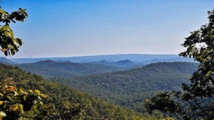 गुरू घासीदास-तमोर पिंगला बना देश का 56वां टाइगर रिजर्व, मुख्यमंत्री श्री साय ने प्रधानमंत्री श्री नरेन्द्र मोदी और केन्द्रीय वन मंत्री श्री भूपेन्द्र यादव के प्रति जताया आभार