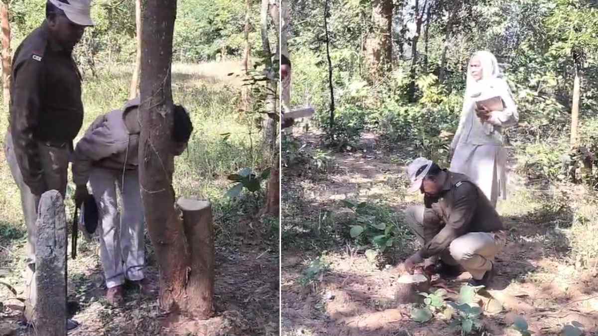  पुष्पा फिल्म की तर्ज पर चंदन के पेड़ों की चोरी, अधिकारियों के कार्यालय के पीछे नर्सरी से सफेद पेड़ ले गए चोर
