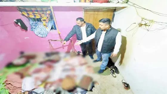ब्रेकिंग न्युज: 226 किलो गौ मांस के साथ 5 संदेही पुलिस हिरासत में