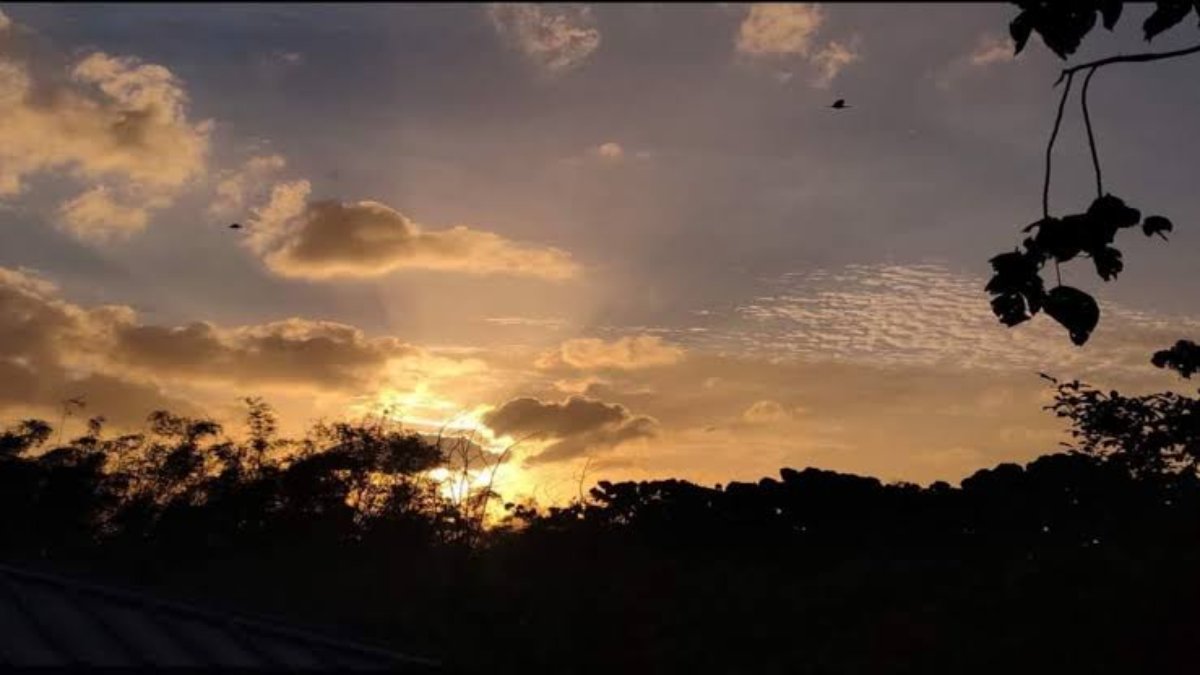  हवा का बदलेगा रुख, छत्तीसगढ़ में फिर लौटेगी कड़ाके की ठंड