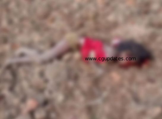 छत्तीसगढ़ महुआ बीनने गई 8 साल की बच्ची को हाथियों के दल ने कुचला मौके पर हुई मौत