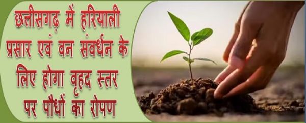 छत्तीसगढ़ में हरियाली प्रसार एवं वन संवर्धन के लिए होगा वृहद स्तर पर पौधों का रोपण
