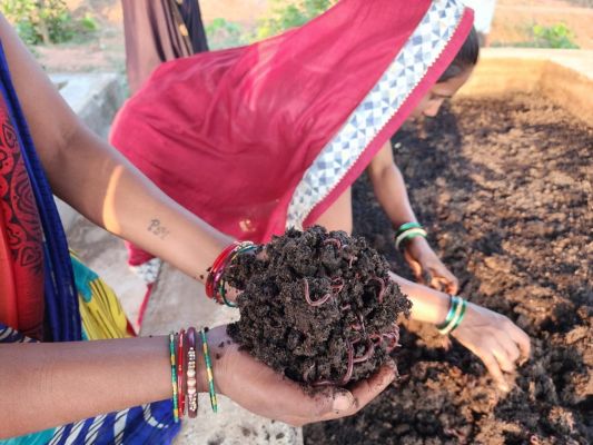 गोधन न्याय योजना: आर्थिक रूप से कमजोर किसान, पशुपालक, श्रमिक, दिहाड़ी कामकाजी महिलाओं के लिए बनी संबल