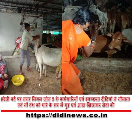 हरेली पर्व पर नगर निगम जोन 9 के कर्मचारियों एवं स्वच्छता दीदियों ने गौमाता एवं गौ वंश को चारे के रूप में गुड़ एवं आटा खिलाकर सेवा की