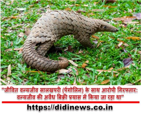 "जीवित वन्यजीव सालखपरी (पेंगोलिन) के साथ आरोपी गिरफ्तार: वन्यजीव की अवैध बिक्री प्रयास में किया जा रहा था"