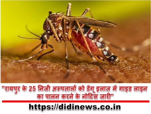 "रायपुर के 25 निजी अस्पतालों को डेंगू इलाज में गाइड लाइन का पालन करने के नोटिस जारी"