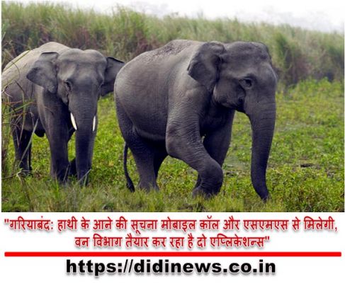 "गरियाबंद: हाथी के आने की सूचना मोबाइल कॉल और एसएमएस से मिलेगी, वन विभाग तैयार कर रहा है दो एप्लिकेशन्स"