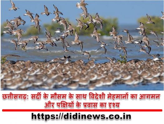 छत्तीसगढ़: सर्दी के मौसम के साथ विदेशी मेहमानों का आगमन और पक्षियों के प्रवास का दृश्य