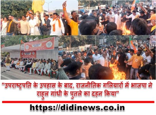 "उपराष्ट्रपति के उपहास के बाद, राजनीतिक गलियारों में भाजपा ने राहुल गांधी के पुतले का दहन किया"