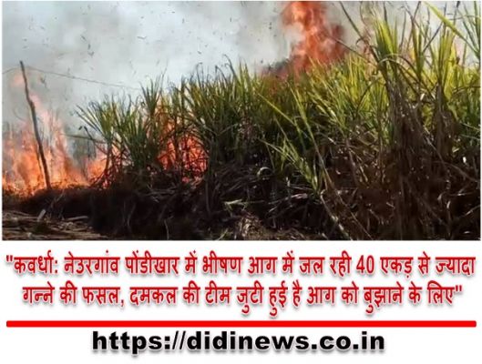"कवर्धा: नेउरगांव पोंडीखार में भीषण आग में जल रही 40 एकड़ से ज्यादा गन्ने की फसल, दमकल की टीम जुटी हुई है आग को बुझाने के लिए"