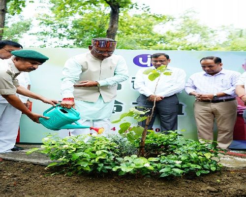 प्रधानमंत्री श्री नरेंद्र मोदी के 'एक पेड़ मां के नाम अभियान' के तहत मुख्यमंत्री श्री विष्णु देव साय ने अपने निवास परिसर में लगाया दहीमन का पौधा