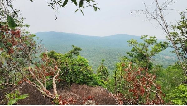 छत्तीसगढ़ राज्य तैयार कर रहा है ईको-रेस्टोरेशन पॉलिसी, देश का बनेगा दूसरा राज्य छत्तीसगढ़