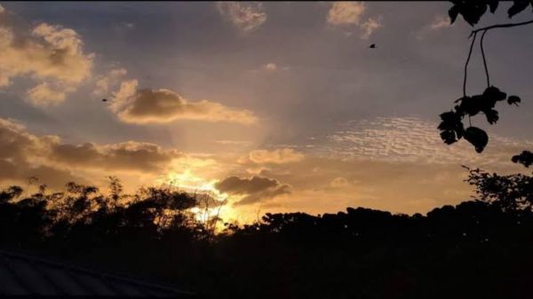 Weather Update : छत्तीसगढ़ में बारिश और आकाशीय बिजली गिरने की संभावना, अगले 24 घंटे के लिए ऑरेंज अलर्ट जारी