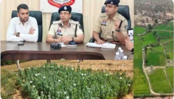  रायगढ़ में अफीम की खेती पर &lsquo;सर्जिकल स्ट्राइक&rsquo;: 72 घंटे में तमनार से लैलूंगा तक ताबड़तोड़ एक्शन; ड्रोन से पकड़ी गई 2 करोड़ की फसल