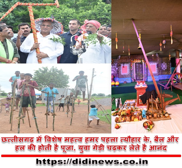 छत्तीसगढ़ में विशेष महत्व हमर पहला त्यौहार के, बैल और हल की होती है पूजा, युवा गेड़ी चढ़कर लेते है आनंद