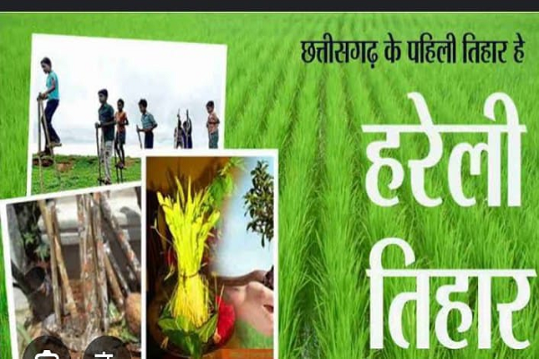 हरियाली का उत्सव - हरेली पर्व