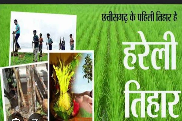 हरियाली का उत्सव - हरेली पर्व