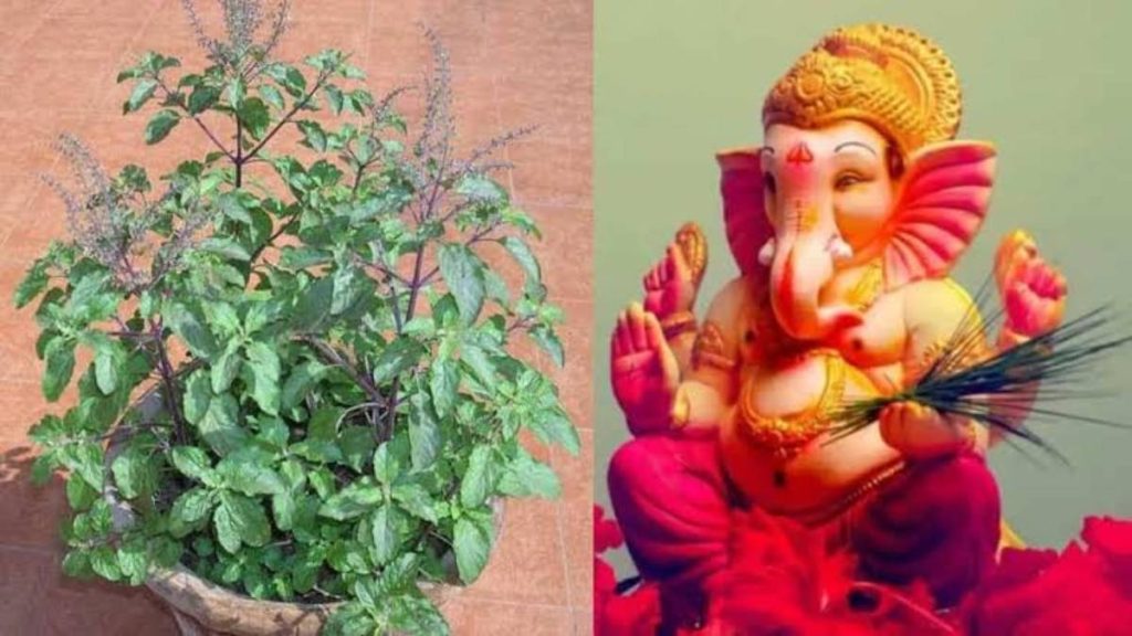 गणेश जी पूजा की थाली में तुलसी रखना है वर्जित, जानिए क्या कहते हैं शास्त्र&hellip;