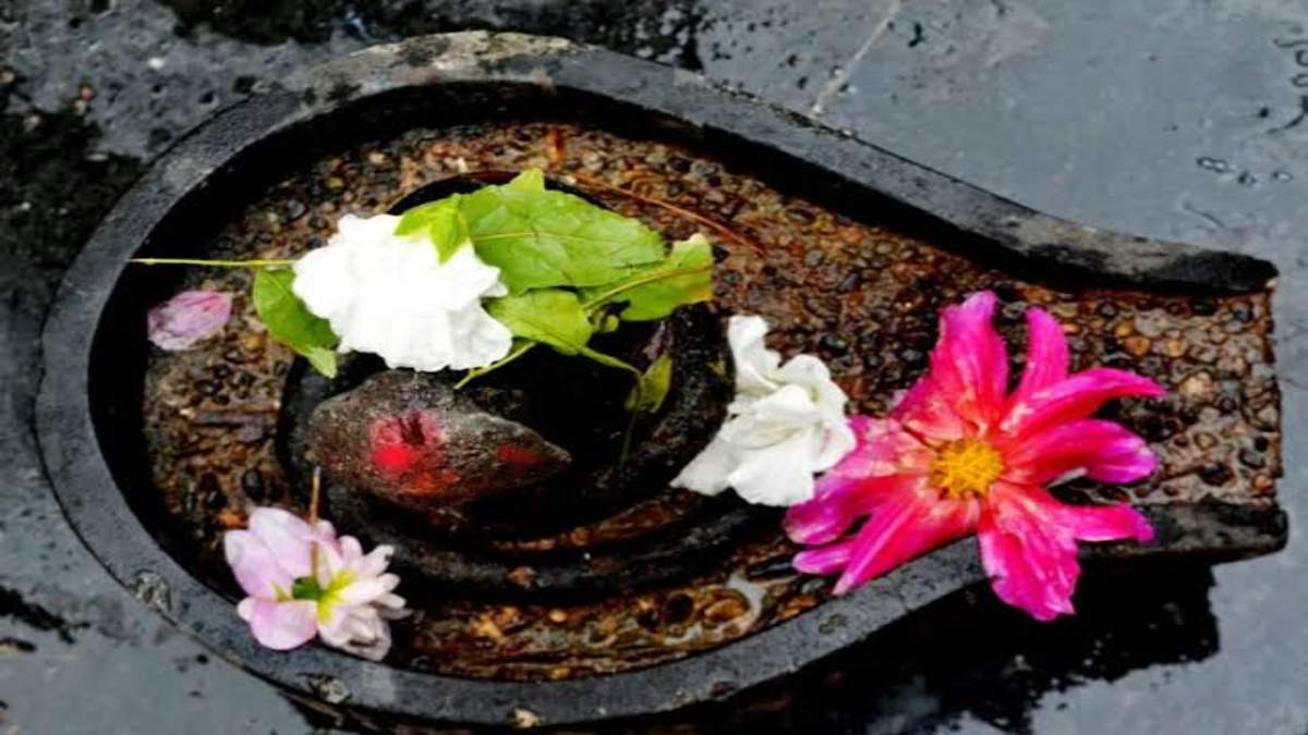 Sawan 2025 : सावन के महीने में ऐसे करें भोलेनाथ की पूजा, जानिए क्या चढ़ाना चाहिए और क्या नहीं …