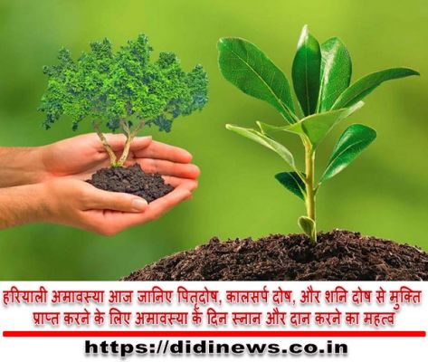 हरियाली अमावस्या आज जानिए पितृदोष, कालसर्प दोष, और शनि दोष से मुक्ति प्राप्त करने के लिए अमावस्या के दिन स्नान और दान करने का महत्व