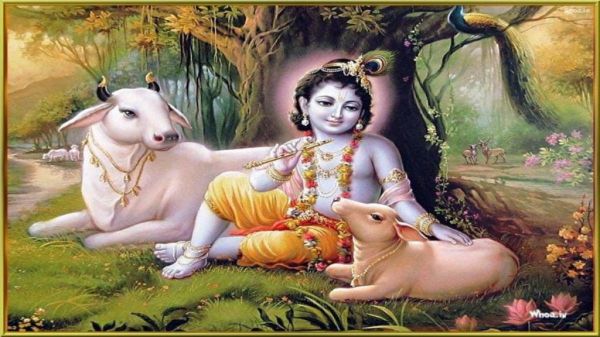 कृष्ण लला को अति प्रिय है मुरली, यहां जाने मुरली के उपाय जिससे घर और कार्यस्थल पर आएगी सुख-समृद्धि