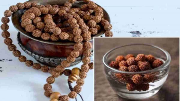 औषधीय गुणों से भरपूर होता है रुद्राक्ष का पानी, यहां जानें इसके सेवन के फायदे