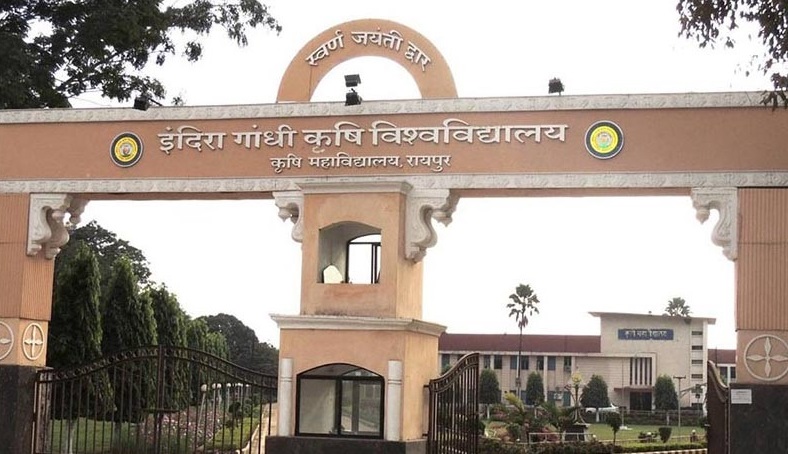 Chhattisgarh News: टॉप 10 में था इंदिरा गांधी कृषि विश्वविद्यालय की अब पीछे से 61 नंबर पर