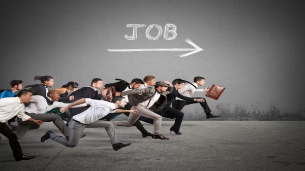 युवाओं के लिए रोजगार का सुनहरा अवसर&hellip; राजधानी में आज से लगेगा 5 दिवसीय प्लेसमेंट कैंप, 500+ पदों पर होगी भर्ती, इतनी मिलेगी सैलरी